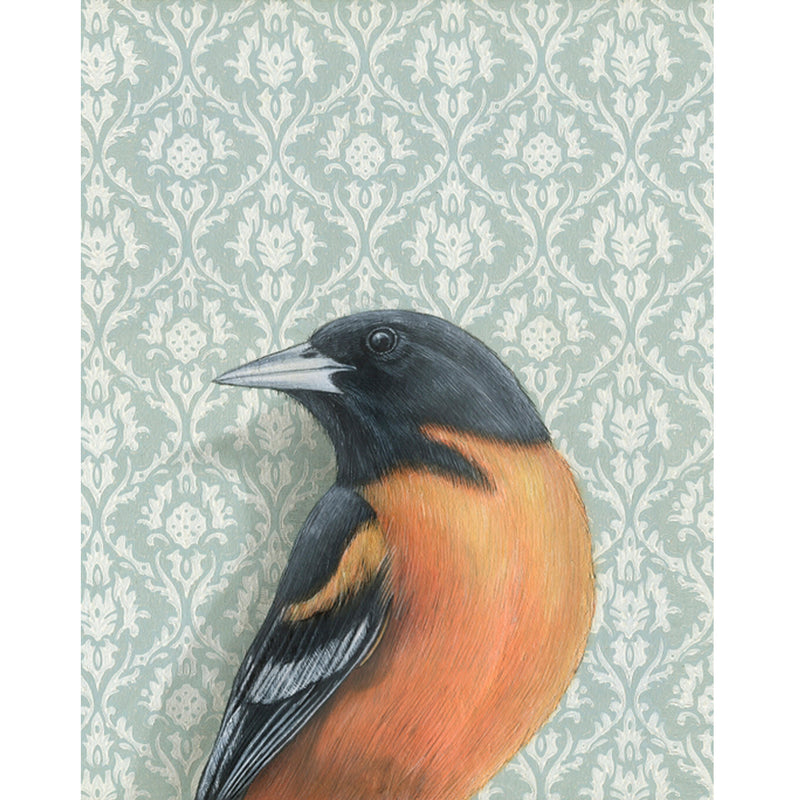 Baltimore Oriole Art Textured Notecard