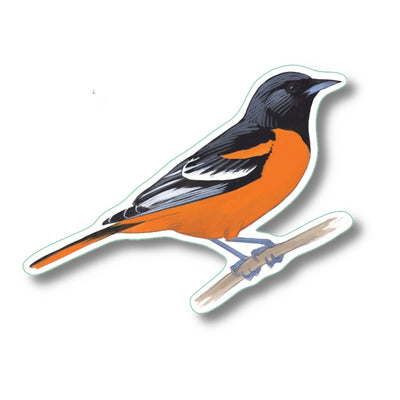 Baltimore Oriole Bird Nature Sticker