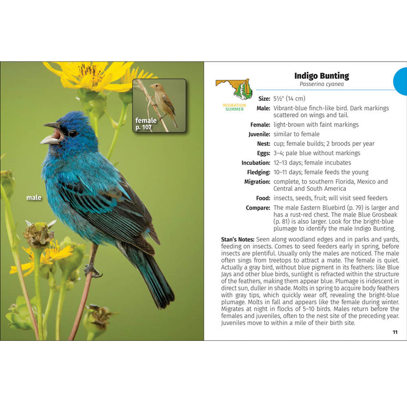 Birds of Maryland & Delaware Field Guide Book (inside)