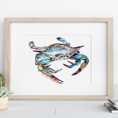 Blue Crab Callinectes Sapidus Watercolor Art - Print