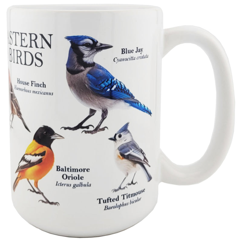 Common Eastern Birds 15oz Coffee Mug