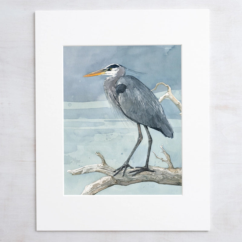 Great Blue Heron Watercolor Art Print - Matted Scene