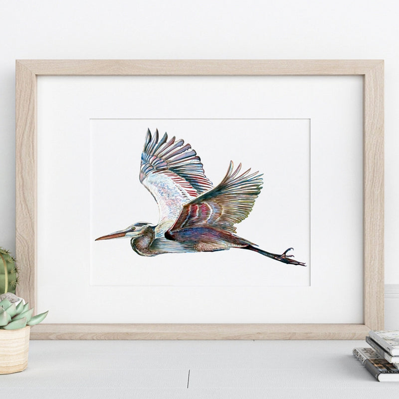 Flying Blue Heron Watercolor Art - Print