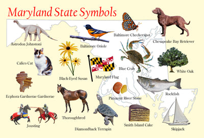 maryland state symbols postcard