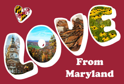 Love From Maryland postcard