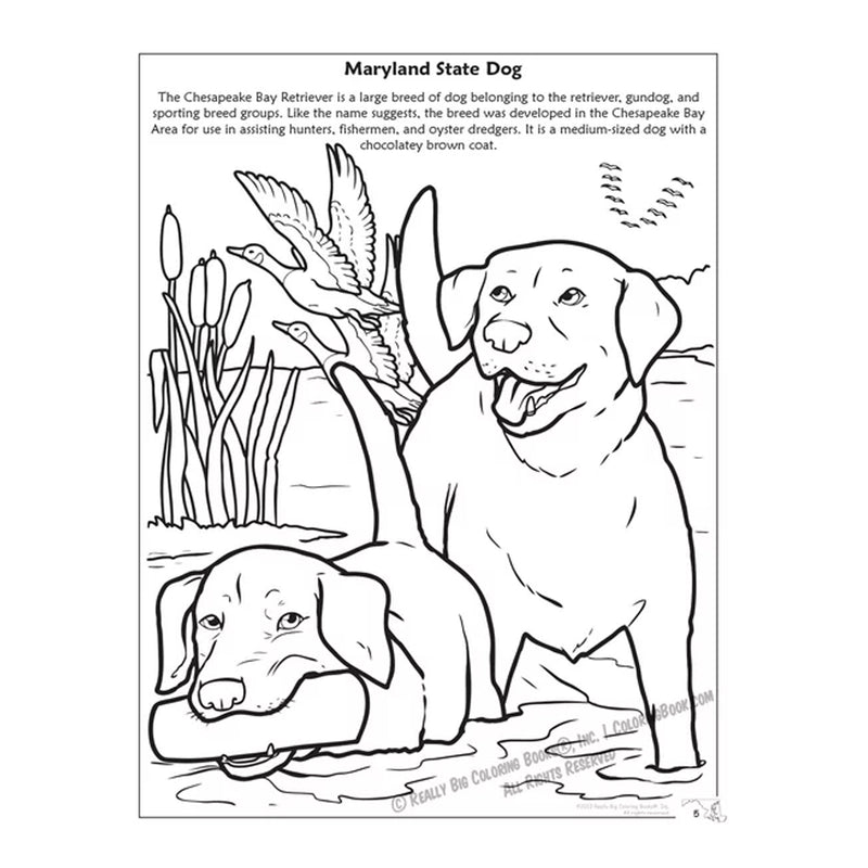 State of Maryland Coloring & Activity Book - Inside Page