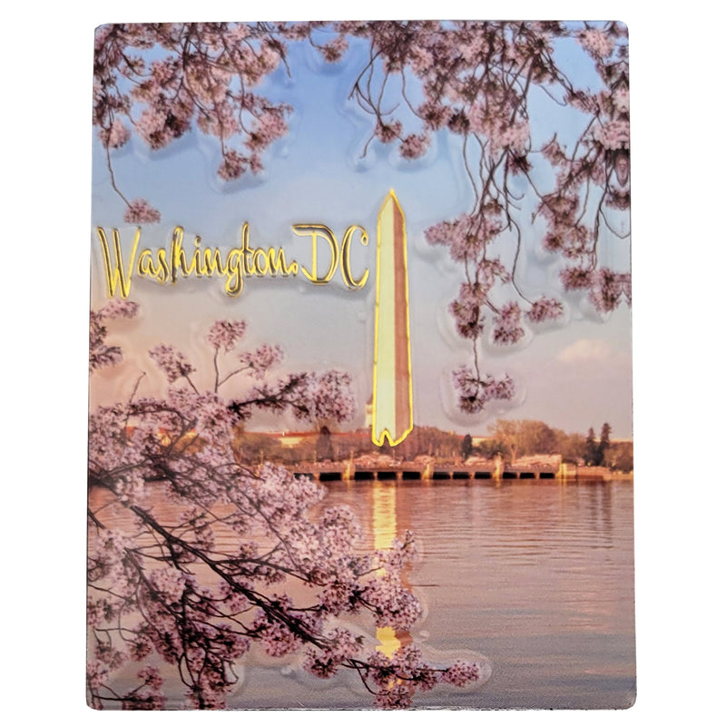 Washington DC Monument Pop Out Magnet