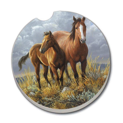 Horses Absorbent Stone Car Coaster