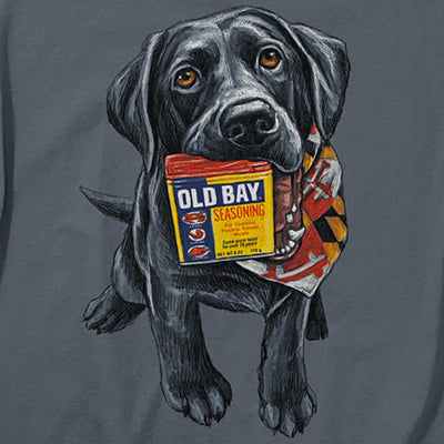 Old Bay Seasoning Good Boy T-Shirt Design Closeup