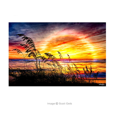 Shore Sunrise Awakening Note Card